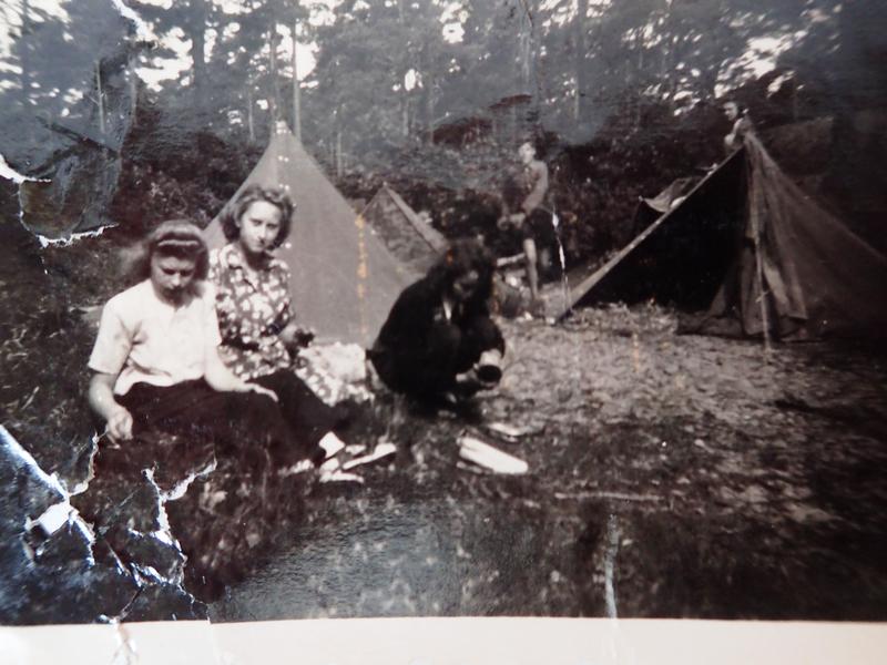 Das Lager im Sommer 1950